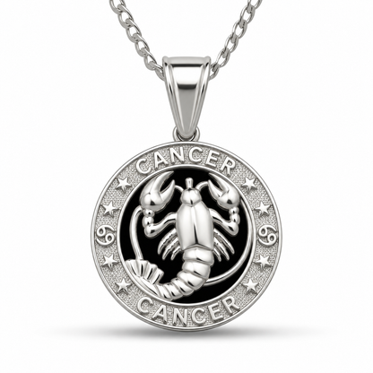 12 Zodiac Signs Pendant – 925 Sterling Silver Black Onyx-Style Astrology Necklace Charm