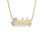 Better Jewelry Heart Diamond Cut 14K Gold Nameplate Necklace